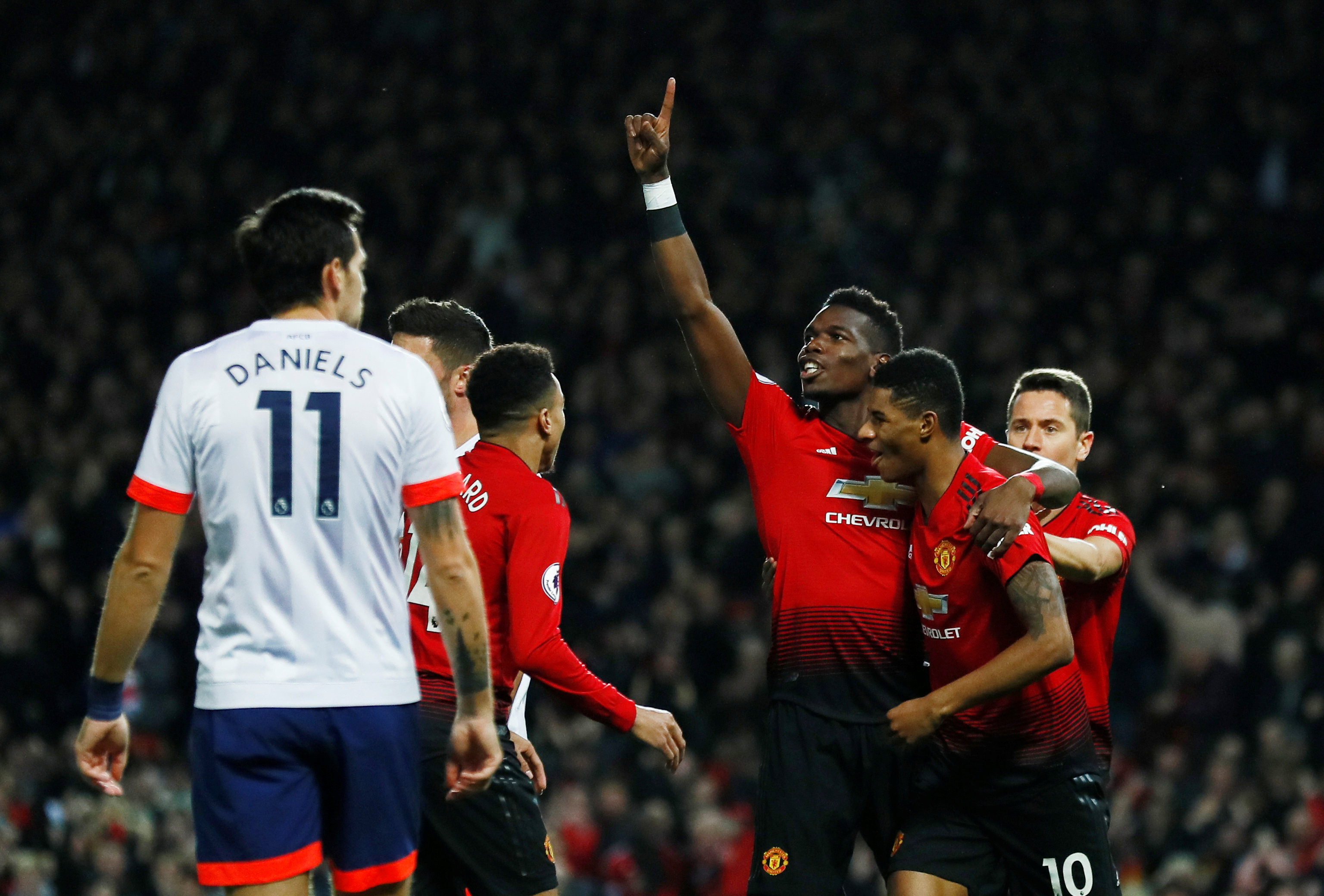 专业人士的 专业人士的